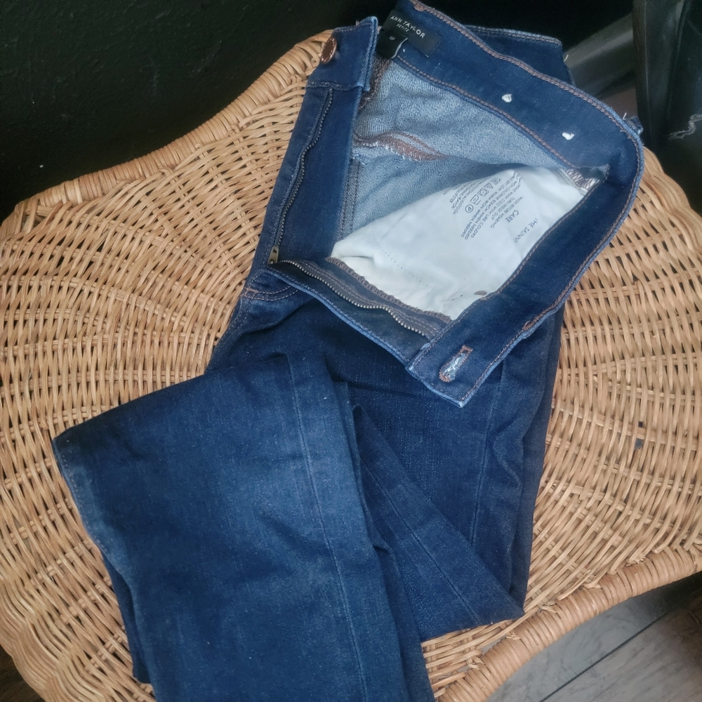 Ann Taylor petite skinny jeans 10P